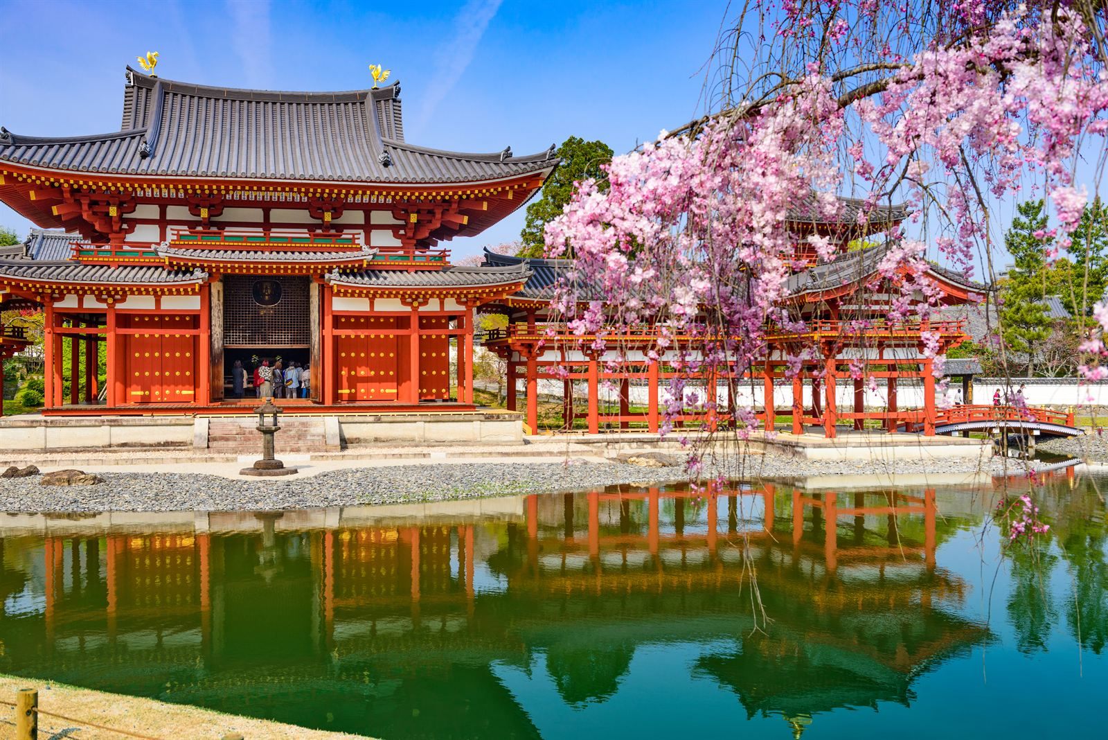 A red Japanese temple hall and cherry blossoms reflected in a pond in spring